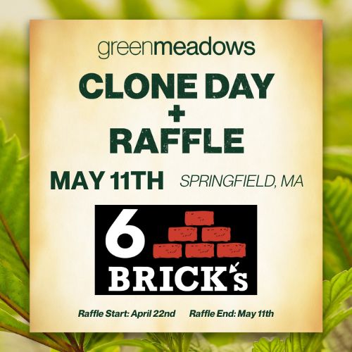 xr:d:DAGBX4orjXM:6,j:6669128870971500822,t:24040315