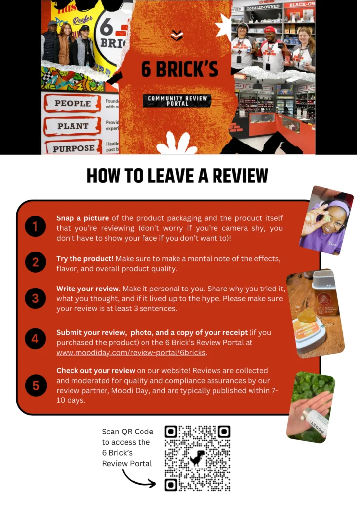 6 Bricks Community Review Portal