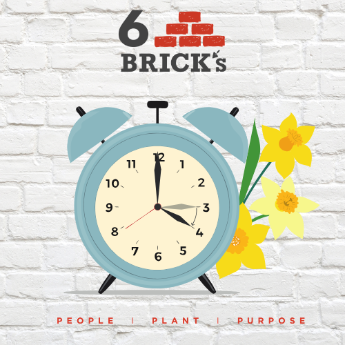 Daylight Savings (1)