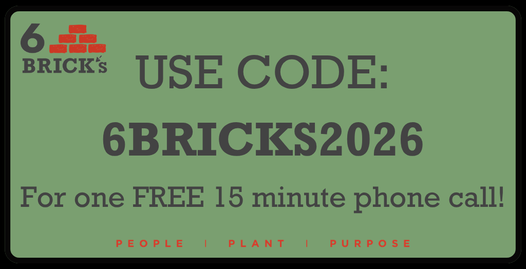 6BRICKS2026